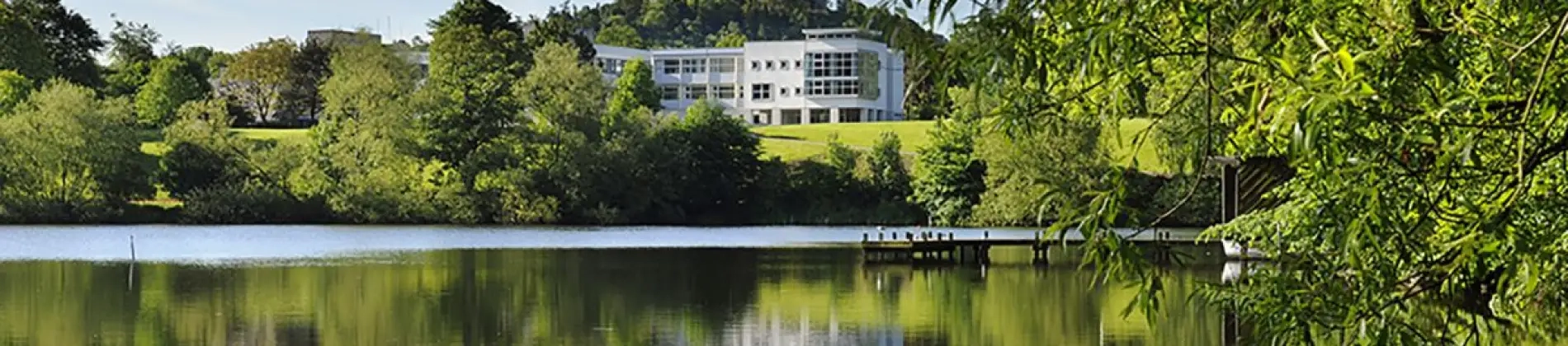 Digital Marketing and Brand Management